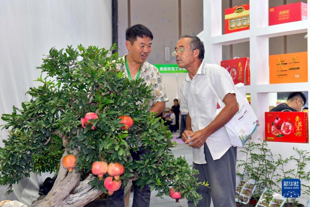 捕鱼达人3d官网